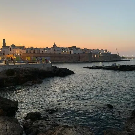 Casa Dominga מונופולי